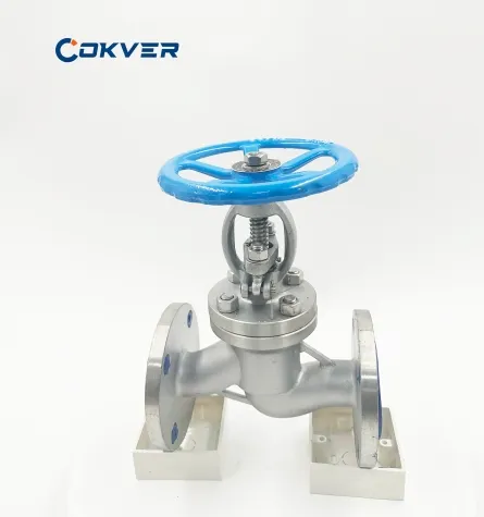 Premium 316 Stainless Steel Manual Globe Valve for Oil